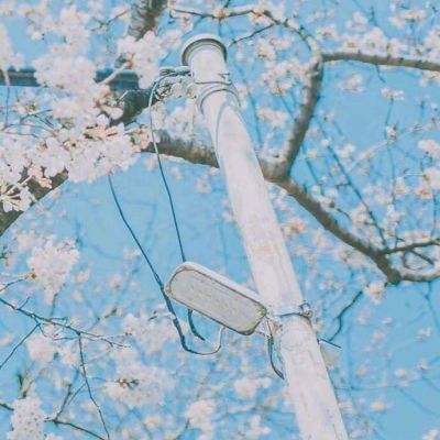 宝贝做汉堡游戏下载